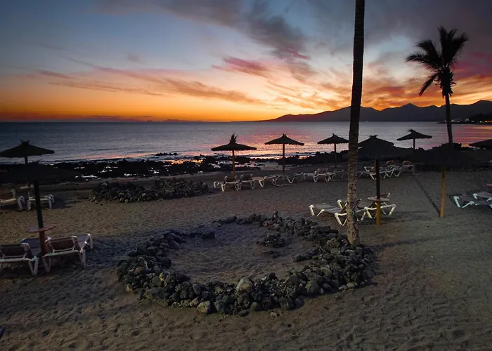 Zuri By Kamili Lanzarote