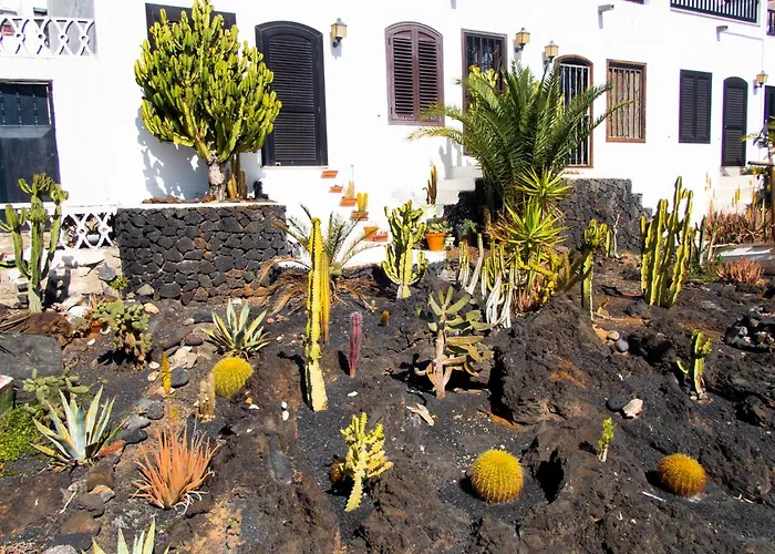 Zuri By Kamili Lanzarote *