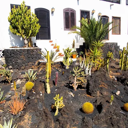 Zuri By Kamili Lanzarote *